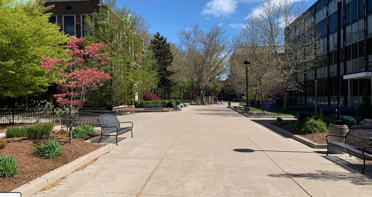 University of Windsor